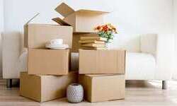 How a Packers and Movers Follow to Relocate Plants Easily