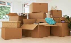 Avoid These Hurdle for Hiring Professional Packers and Movers