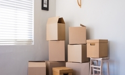 Tip to List Out of Non Professional Shifting Provider