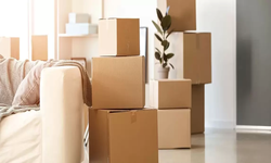 Stay Away from Shifting Worries with Help of Packers and Movers