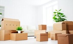 Duties To Be Noted Performed By Packers And Movers