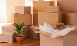 Well Planned Paintings Relocation Carried Out by Best Packers and Movers