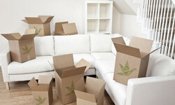 Points to Keep in Mind before Shifting Hassle Free Points to Keep in Mind before Shifting Hassle Free