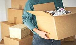 Packers and Movers Suggest for Pest Free House Relocation