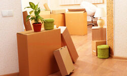 Tips to Move Goods Feasible during Busy Season