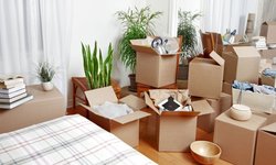 Various Ways of Determining Non Professional Movers Companies 